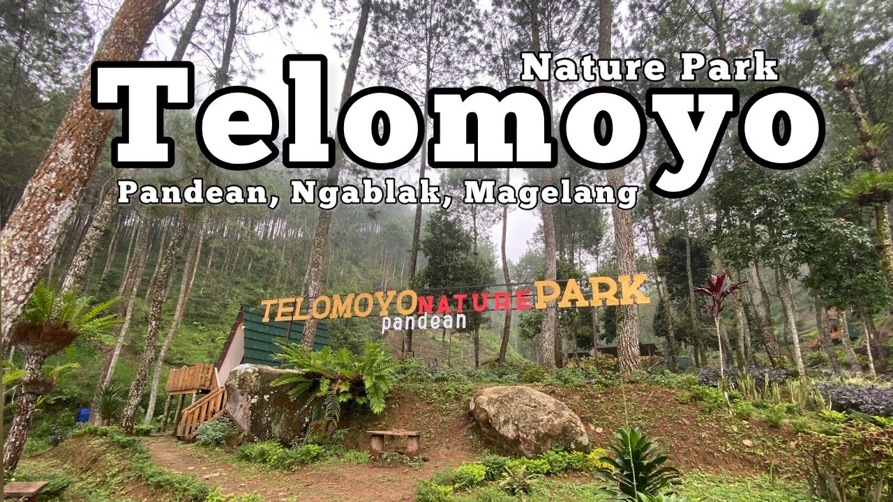 Telomoyo Nature Park: Surga Tersembunyi di Lereng Gunung Merapi